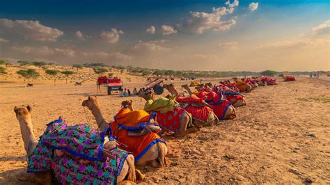 THE DESERT SPLENDOUR OF RAJASTHAN TOUR - Shikhar Blog