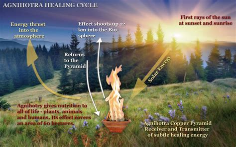 What is Homa Therapy | Homa Therapy Foundation