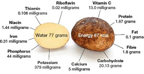 Potato Nutrition Facts - Calories, Fiber, Fat, Carbs and Protein