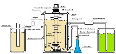 Continuous Fermentation by Lactobacillus bulgaricus T15 Cells ...