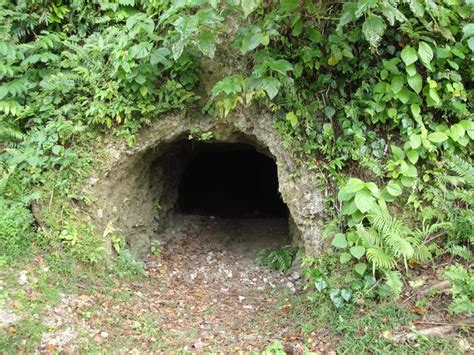 cave entrance - Google Search | Cave entrance, Forest hills, Entrance