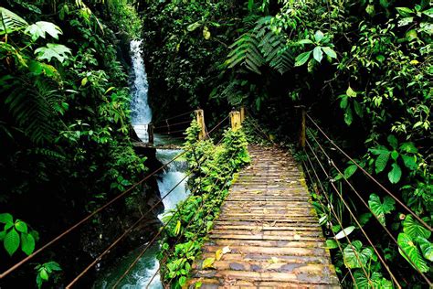 Mindo Cloud Forest Daily Tour - Nomadtrek Tour operator