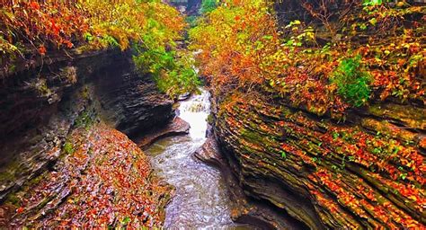 9 Photos That Show How Stunning Fall Is In Watkins Glen New York