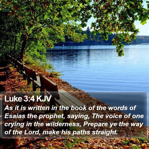 Luke 3:4 KJV - As it is written in the book of the words of