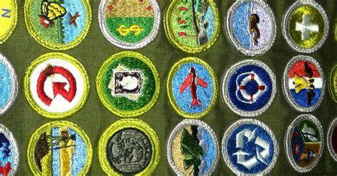 Merit Badges | BSA Scouts | Troop 699 | Scouting USA