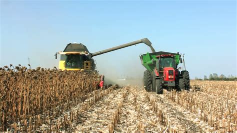 Stock video of harvesting sunflower by using a modern | 15932527 ...