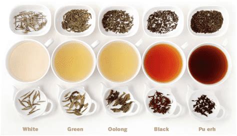 Ceylon Tea Types – Halpe Tea – Blog