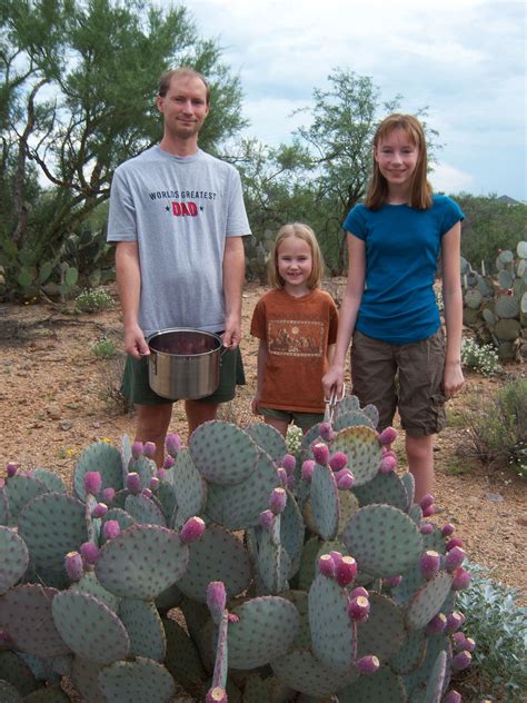 Prickly Pear Fruit Harvesting PART TWO | Prickly pear, Pear fruit ...