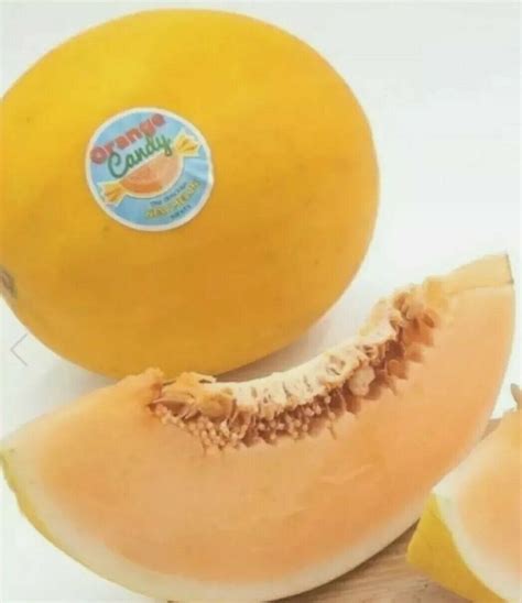 Candy Melon 30 Seeds - Organic - Orange Candy - Very Delicious Melon A ...