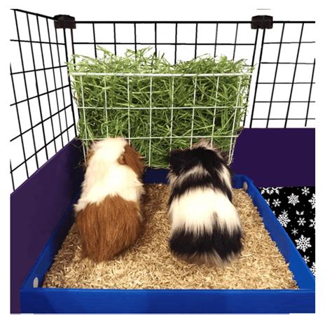 The top 24 Ideas About Diy Guinea Pig Hay Rack - Home, Family, Style ...