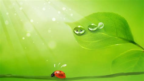 Cute water droplets animation wallpaper in 1920x1080 - Will Wallpaper