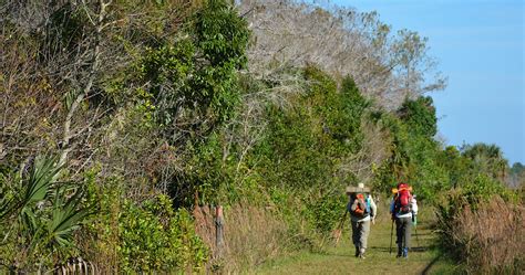 Thru Hike the Florida Trail | Florida trail, Thru hiking, Hiking in florida