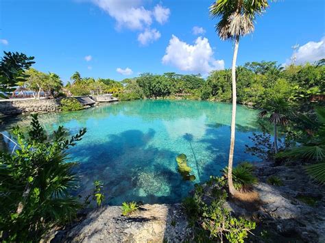 Chankanaab Park in Cozumel | Dolphin Discovery | Blogs Dolphin ...