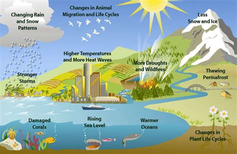 Natural Resources Conservation - Types & Importance | Environmental ...