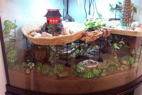 Hermit Crab Habitat Diy - Pin on Hermit Crabs - Use plastic containers ...