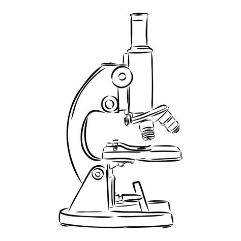 microscope vector sketch 7307564 Vector Art at Vecteezy