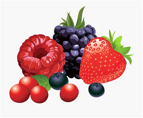 free clipart berries 10 free Cliparts | Download images on Clipground 2024