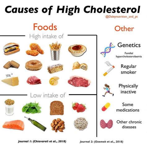 high cholesterol foods - Daley Nutrition - Community Team