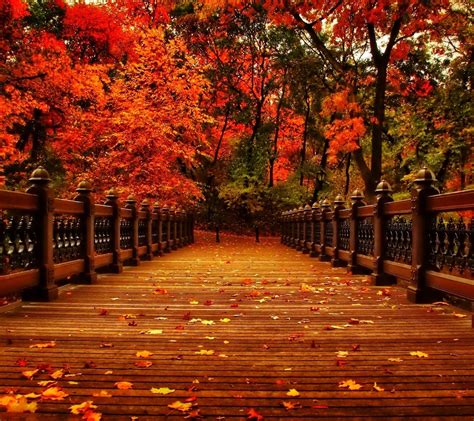 25 Best autumn wallpaper aesthetic laptop You Can Download It At No ...