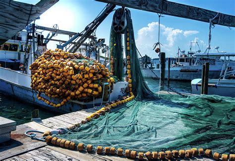 Fish Shack Photograph by Colin Ward - Fine Art America