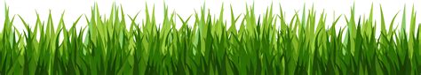 Free Grass Transparent Png, Download Free Grass Transparent Png png ...