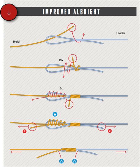 How to tie an improved albright fishing knot illustration | Fishing ...