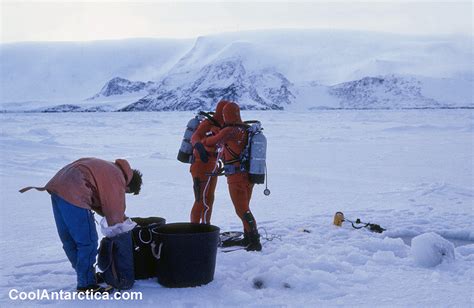 Thumbnails - Antarctic Ice Dive - Free use pictures of Antarctica