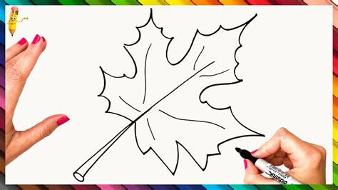 Fall Drawings Of Leaves