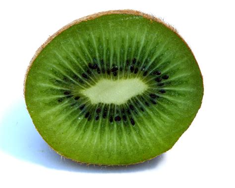 kiwi | I know, I know, this is the second time I've uploaded… | Flickr