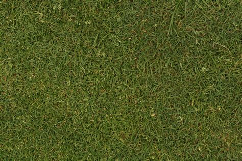 Free photo: Grass texture - Grass, Green, Lawn - Free Download - Jooinn