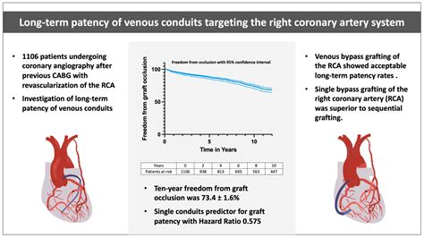 JCDD | Free Full-Text | Long-Term Patency of Venous Conduits Targeting ...