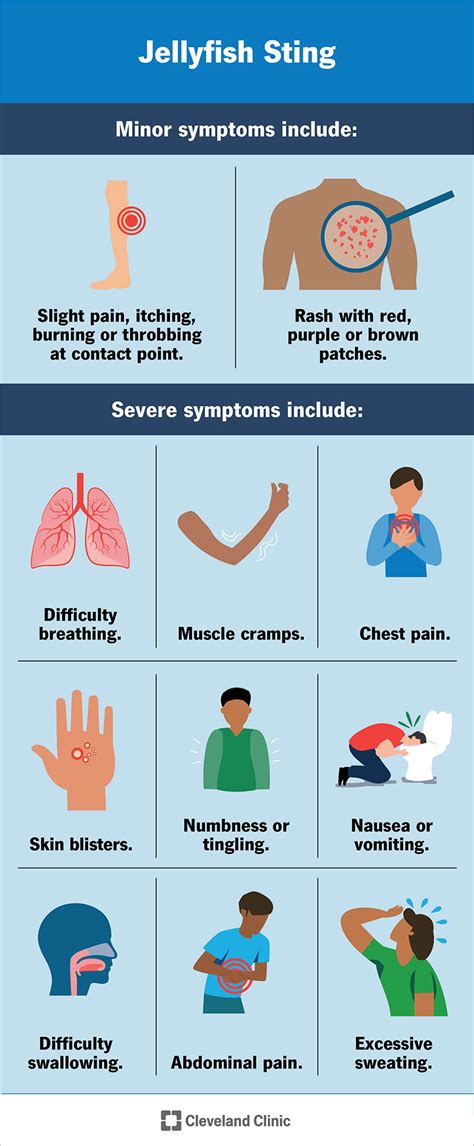 Jellyfish Sting: Symptoms & Treatment