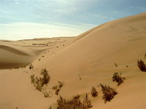 Physical Map Of China Gobi Desert - Https Rgs Ibg Onlinelibrary Wiley ...