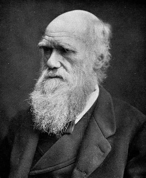 Biography of Evolution Scientist Charles Darwin