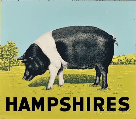 Enameled Lithographed Sheet Metal "HAMPSHIRES" Pig Farm Sign | Pig art ...