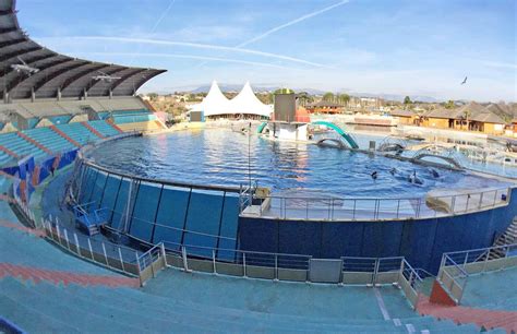 Marineland d'Antibes: Cible de critiques, le parc va rouvrir avec «plus ...