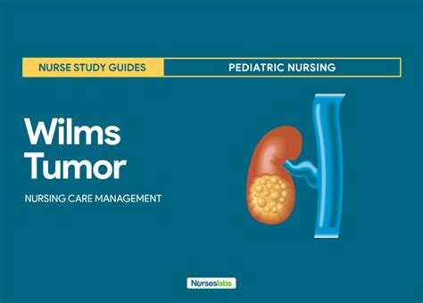 Wilms Tumor (Nephroblastoma) Nursing Care Management