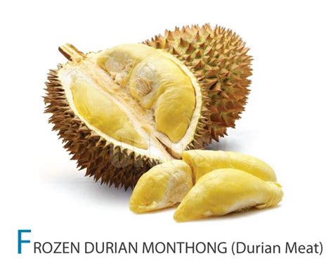 FROZEN DURIAN MONTHONG (Durian Meat)