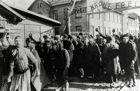 Horrors of Auschwitz: The Numbers Behind WWII's Deadliest Concentration ...