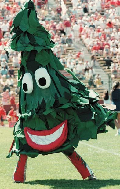 Scott Chaney Writes: Stanford's Mascot