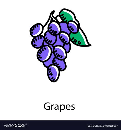 Grapes Royalty Free Vector Image - VectorStock