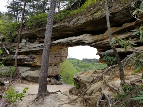 Double Arch, Red River Gorge, Kentucky, USA. : r/hiking