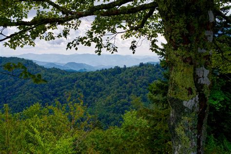 Hiking In The Smoky Mountains - Pentax User Photo Gallery