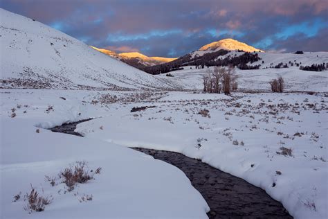 Winter in Yellowstone — Sarah Marino & Ron Coscorrosa Photography