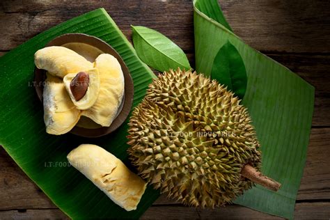 Durian – Monthong (Durio zibethinus Linn) – High quality frozen foods ...