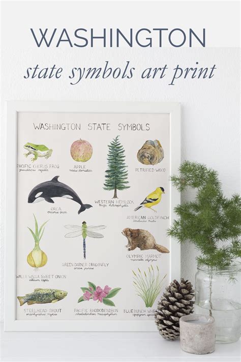 Washington State Symbols Art Print | Malen