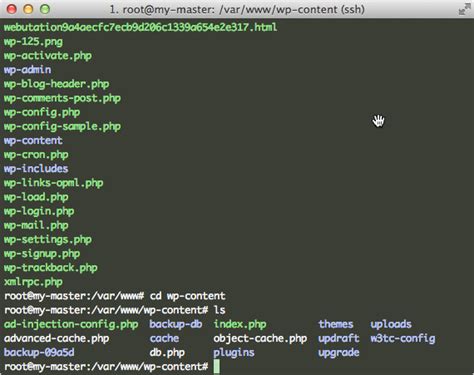 Enable Syntax Highlighting in nano on SSH from iTerm2