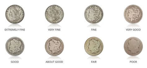 Coin Grading 101: How To Grade A Coin Yourself At Home | U.S. Coins Guide