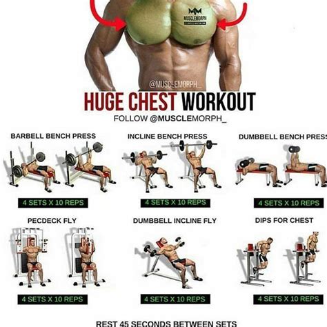 Pectorals | Chest workouts, Ultimate chest workout, Chest workout