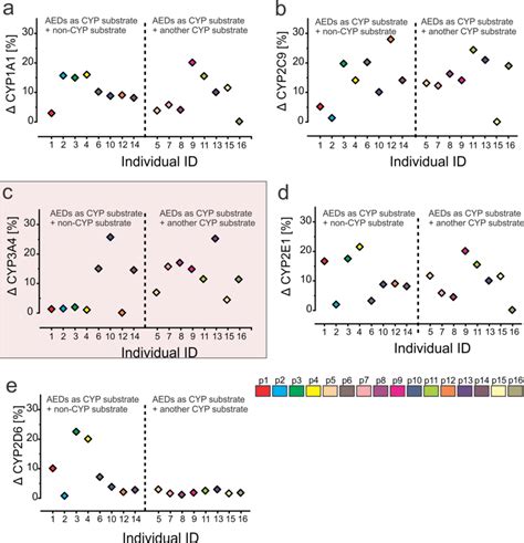 CYP3A4 expression changes in epileptic brain with antiepileptic drug ...